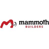 Mammoth Builders image 1